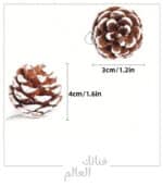صنوبر طبيعية ملون - الصورة 4