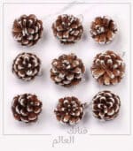 صنوبر طبيعية ملون - الصورة 3
